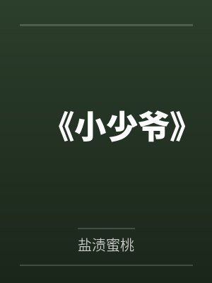《小少爷》
